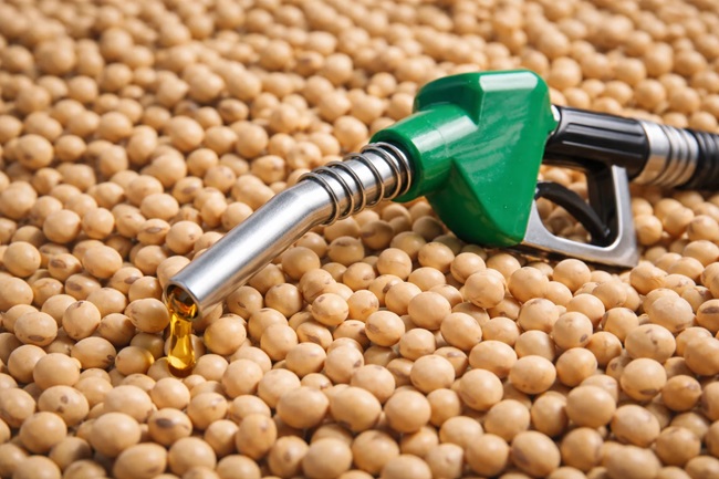 Governo proíbe importação de biodiesel para a mistura obrigatória ao diesel